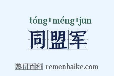 同盟军是什么意思的图片